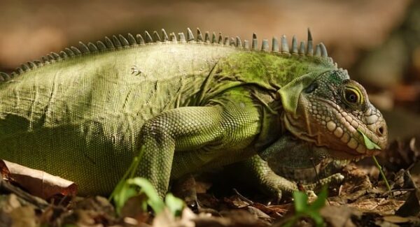 暮沉资源站用户案例分享：自媒体人的成功之路