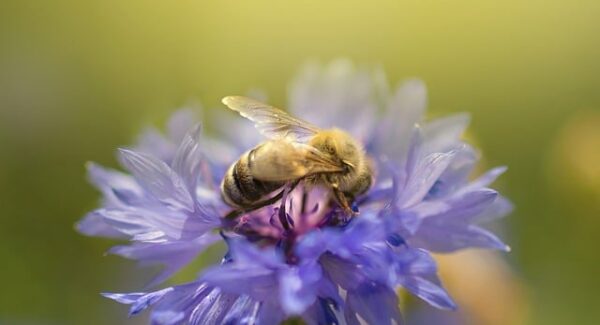 网赚论坛的赚钱策略：如何在我要赚钱网和百度产品大全中找到网赚项目