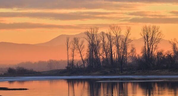 【文案优化技巧分享】文案优化技巧分享：提升网站吸引力