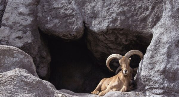 网赚论坛的赚钱技巧：如何在中创网热门项目和中创网中赚中找到商机