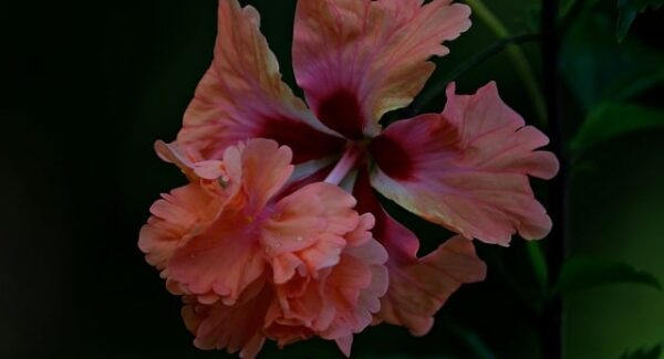 创业网致富网真相调查：揭开创业致富网的神秘面纱