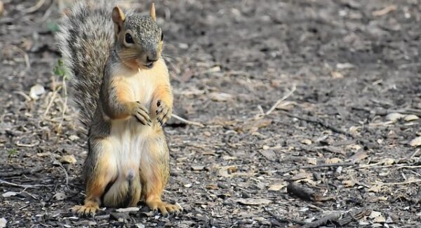 【小淘学社论坛热门】小淘学社论坛热门话题：探索更多创业可能性