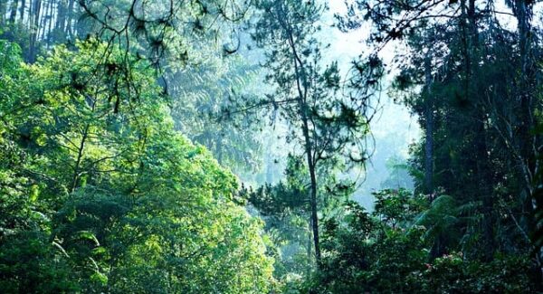 最新免费网赚项目发布：中赚网论坛与冒泡网赚的双重福利