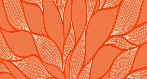 【项目网站源码搭建教程】手把手教你搭建项目网站源码，轻松创业