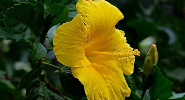 【狗凯之家源码网揭秘】自媒体与网创的双重盈利模式