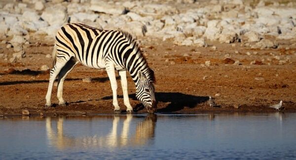 免费赚钱项目资源站推荐：零成本创业首选