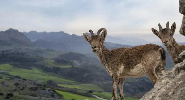 创业网创业路：创业项目交流与创业项目论坛的互助平台