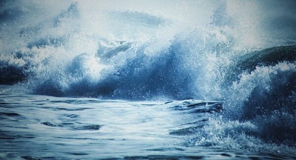 豪情网赚项目引领潮流：网上创业赚钱的新机遇