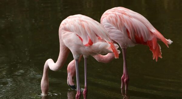 网赚论坛大全精选：最新赚钱项目与SEO技巧并重