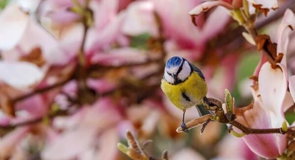 暮沉网创新视角：无本创业与最新网赚项目的未来趋势