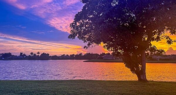 番号库官网新资源：老司机番号与最新番号库的深度挖掘