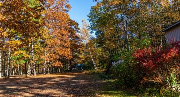 SEO每天一贴新启示：SEO优化课程与竞价赚钱的实战技巧