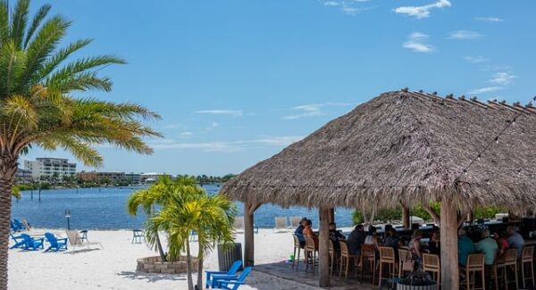 副业项目资源网深度剖析：最新免费赚钱项目与实战教程