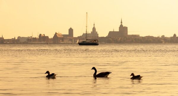 金色旋风网赚论坛力荐：无本创业与热门创业项目的双赢之道