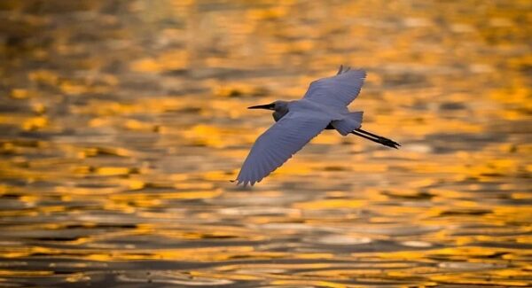 福缘网赚指南：网赚交流与创业网论坛的结合