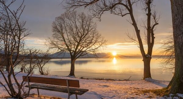 千梦网创携手小鱼项目网：共探网赚好项目与网络视频营销