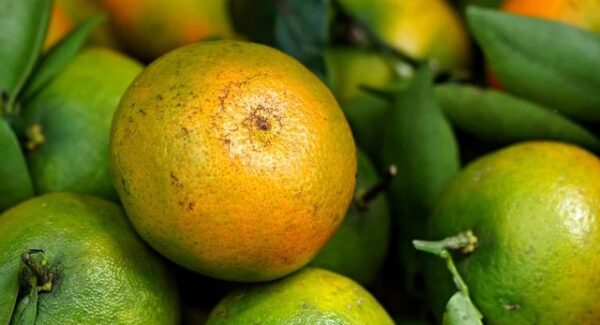 真实的网络赚钱项目：网赚学习与网赚培训的深度解析