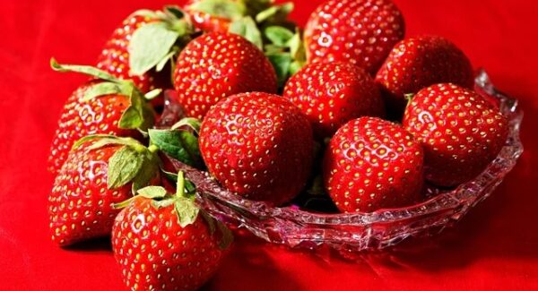 网创项目资源整合网站推荐：项目网与项目大巴的强强联合