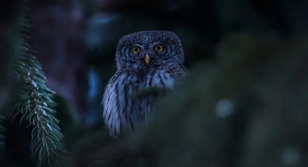 网赚资源大搜罗：网赚创业与最新赚钱项目的全方位解析