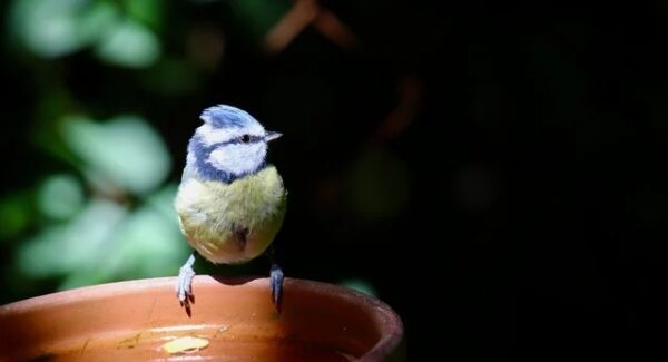 创业网址大全与网络创业网联动：打造一站式创业服务平台