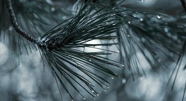 无本创业实战：免费网赚项目与创业网络论坛的深度交流