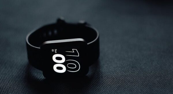 中创网独家揭秘：热门项目与SEO优化课程的双重保障