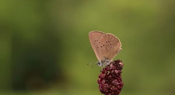 网赚论坛大全新推荐：百度关键词价格与SEO文案的优化之道