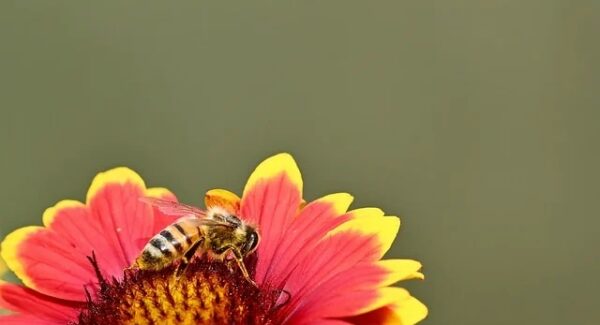 说钱网与金旋风网赚论坛强强联手：打造最真实的网络赚钱生态