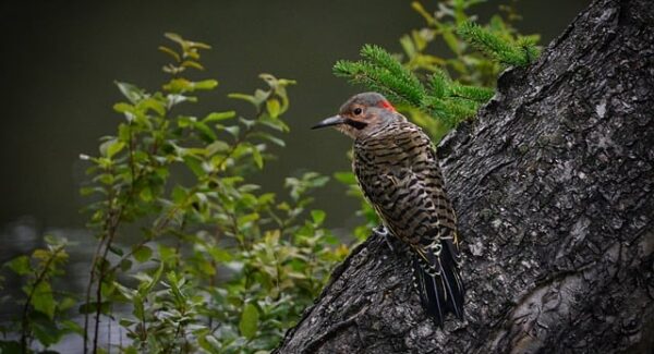 网赚项目新突破：最新免费网赚项目与网赚论坛大全的深度挖掘