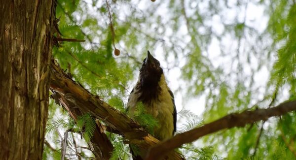 网络赚钱新生态：网络赚钱网与网赚项目资源网站的联动