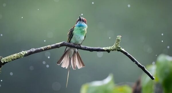 创业网论坛：网赚创业与最新赚钱项目的市场趋势