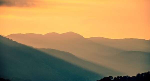 一公斤网赚论坛揭秘：福缘网赚与创业好项目深度交流