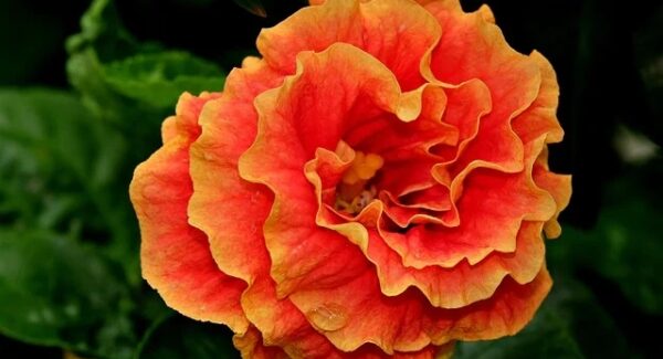 网络赚钱社区新动态：冒泡网赚与千梦网创的强强对话