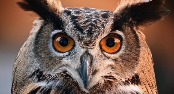 创业论坛新风向：创业项目交流与创业论坛网的互助共赢