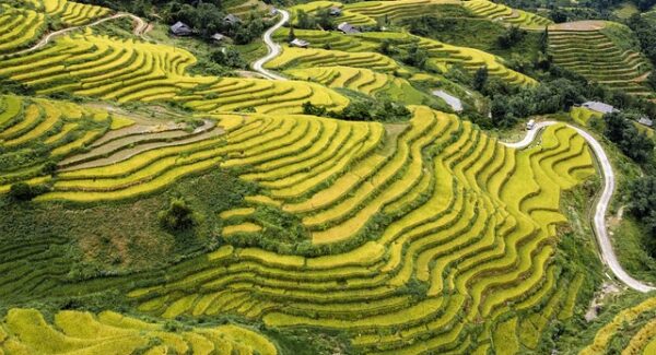 网赚培训课程：SEO视频培训与网站优化课程的融合