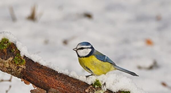 说钱网独家揭秘：竞价赚钱与网赚培训的双重盈利模式