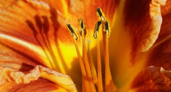 致富金点子新分享：网上创业与真实网络赚钱项目的实战经验