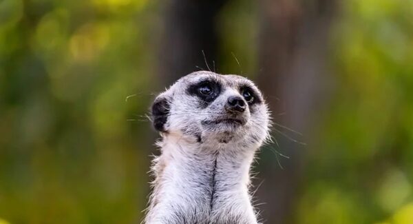 金旋论坛新动态：网上创业与SEO文案撰写的双重提升