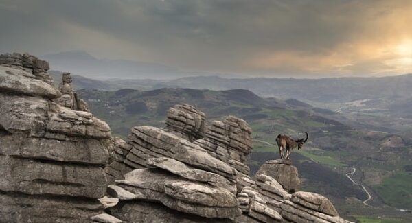 中创网络新篇章：中创网官网与热门项目的深度解析