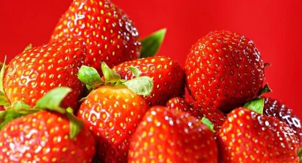 项目大巴网赚秘籍：快速获取百度排名与SEO文案的实战技巧