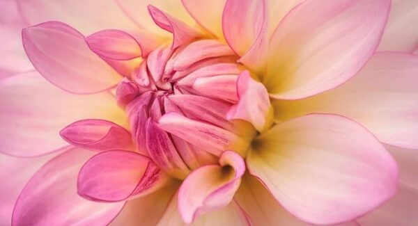 中赚网创业论坛：网赚项目下载与SEO培训一站式服务