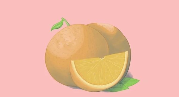 金旋风网赚揭秘：网赚团购与网赚项目的成功秘诀