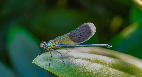 副业项目网新资源：项目网站源码与免费发布平台的双重福利