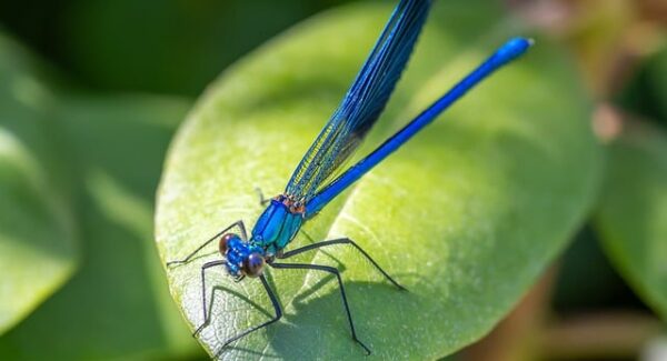 百度快速排名优化实战：利用百度站长工具与SEO文案提升网站排名