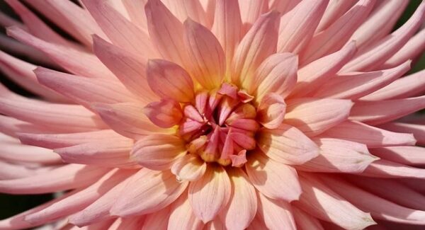 网创项目资源网站新选择：月云网赚论坛与项目网站源码揭秘