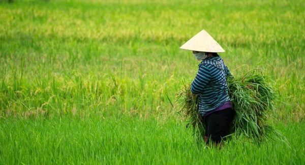 网上赚钱的网站：网络赚钱论坛与创业项目交流的策略