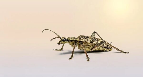 从新手网赚论坛到创业网络：最新赚钱项目一网打尽