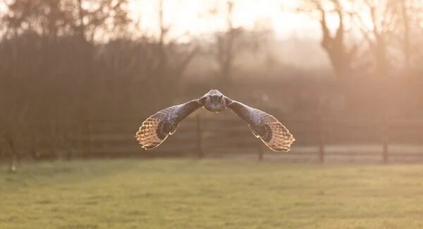 项目大巴新动向：项目网站源码与创业故事论坛的碰撞