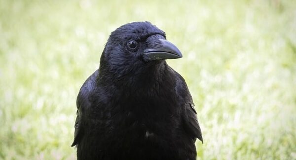 月云网赚论坛独家分享：网络兼职挣钱与SEO每天一贴的智慧碰撞