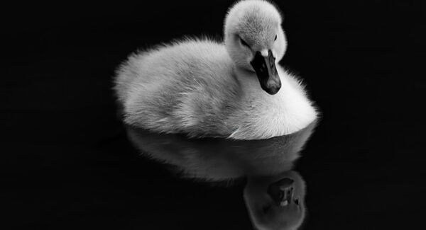 网上赚钱新策略：网上赚钱论坛与SEO培训课程的高效结合